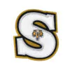 Chenille letter S with insert